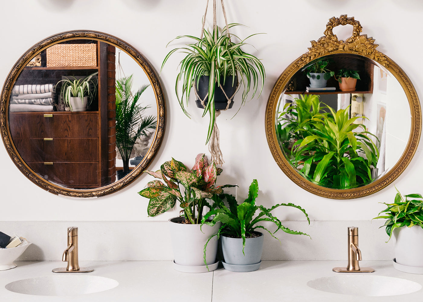 A complete guide to decorating your bathroom with plants – and how to take care of them!